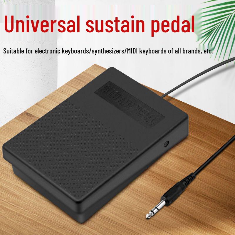 Kashi Meiles Electronic Piano Sustain Pedal for MIDI Drum & Keyboard (3.5mm) 6.35mm Sustain Pedal [Fixed Polarity]