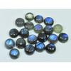 10X10MM Natural Labradorite Blue  Round Cabochon Loose Gemstone Pcs Lot C-1037