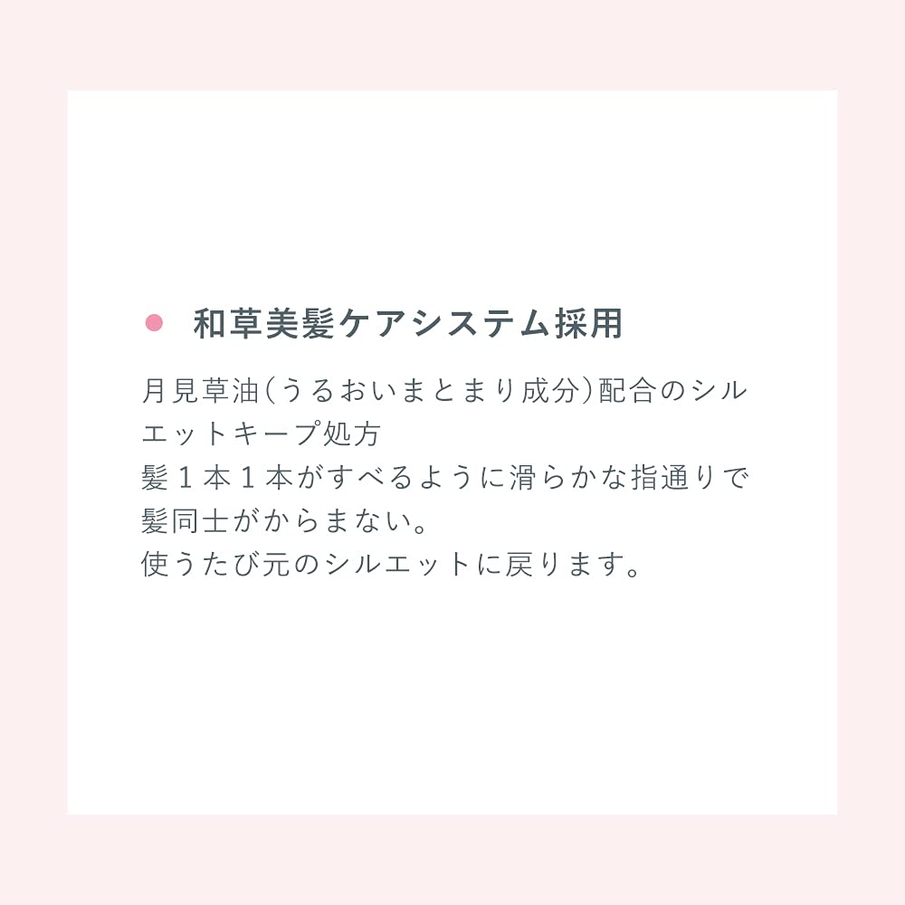 Essence à base de plantes japonaises Ichikami Junno 100 g x 2 Coffret avec bonus Ne pas laver Traitement Soin des cheveux Soin des dommages Réparation