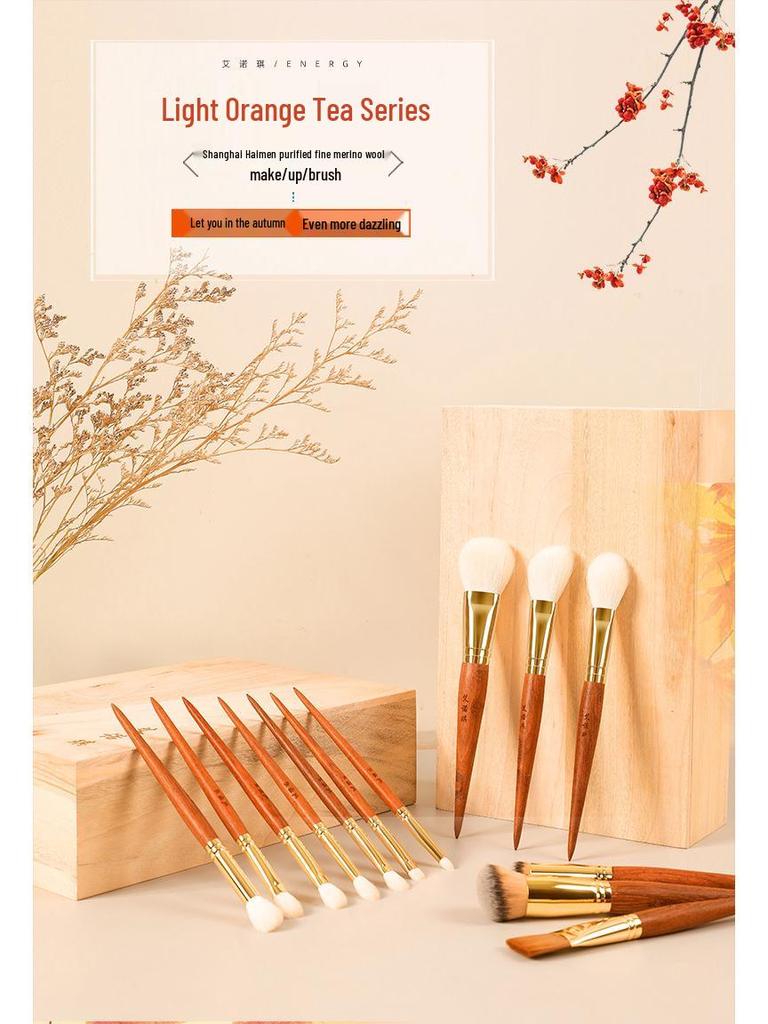 AINUOQI Light Orange Tea Makeup Brushes: F103 Blush, F202 Nose Shadow, F106 Concealer, Animal Hair.