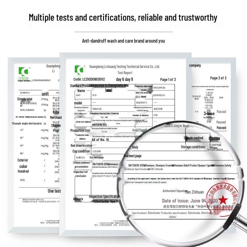 Cai Le CL968 Oil Control Anti-Dandruff Shampoo