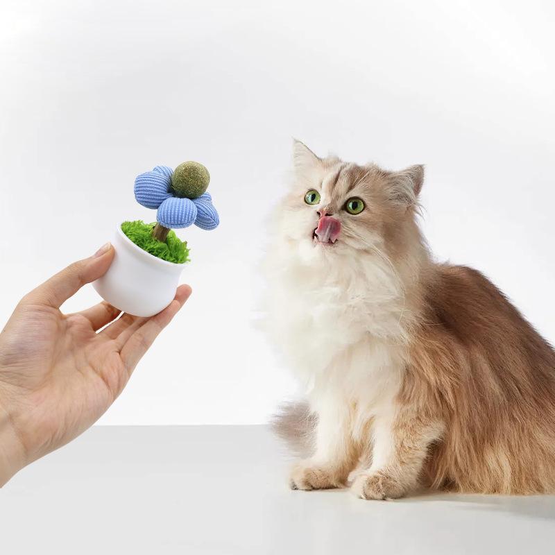 Catnip Balls, Cat Gnawing Toys, Cute Flowerpot Cat Toys, Wooden Tianliao Teething Sticks, Self-entertaining and Boring Toys for Kittens
