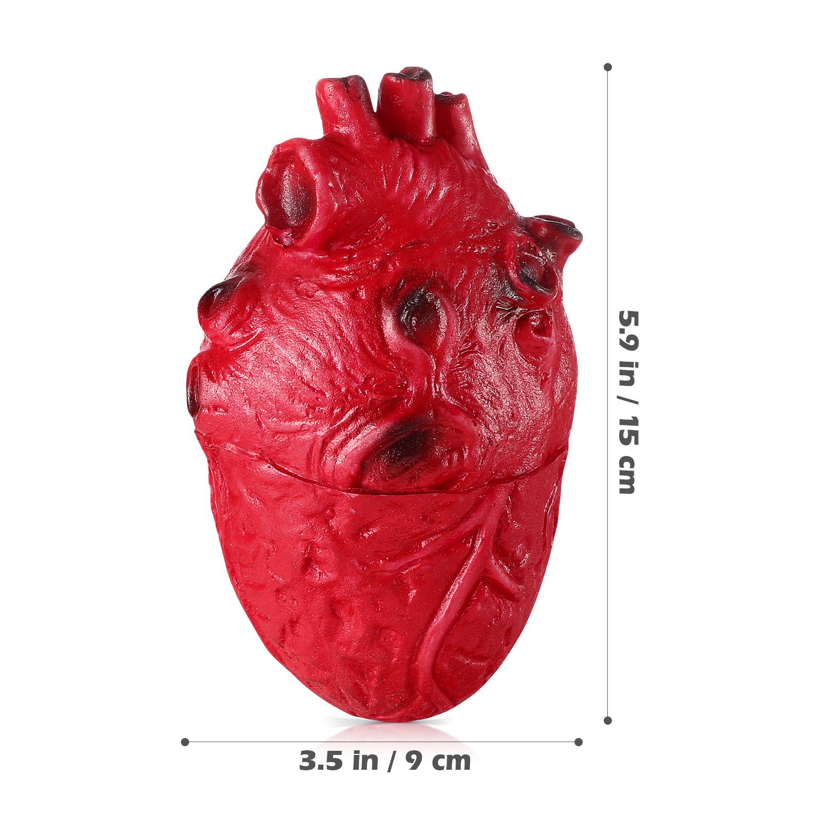 

Halloween Simulated Heart Fake Bloody Body Parts Party Decorations Dead Prop Cosplay Realistic Miniature Latex Fake Heart красный