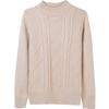 Autumn and Winter Women's Semi-high-neck Sweater Knit Shirt Slim Knitted Base Top Suitable for Inner Wearing with Short Sweater