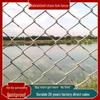 Rust-Proof Galvanized Steel Wire Mesh Fence for Poultry, Dogs, Cattle, and Sheep