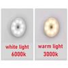 USB Charging Smart Sensor Lamp LED Human Body Induction Night Light Bedside Bedroom Home Corridor Lighting 8 LEDs Mini Wall Lamp