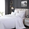 QI LU Collagen Mulberry Silk Quilt