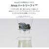 Anua Heartleaf Soothing Toner 250ml 2-Pack Hydrating Gentle Formula for Sensitive Dry Combination Skin