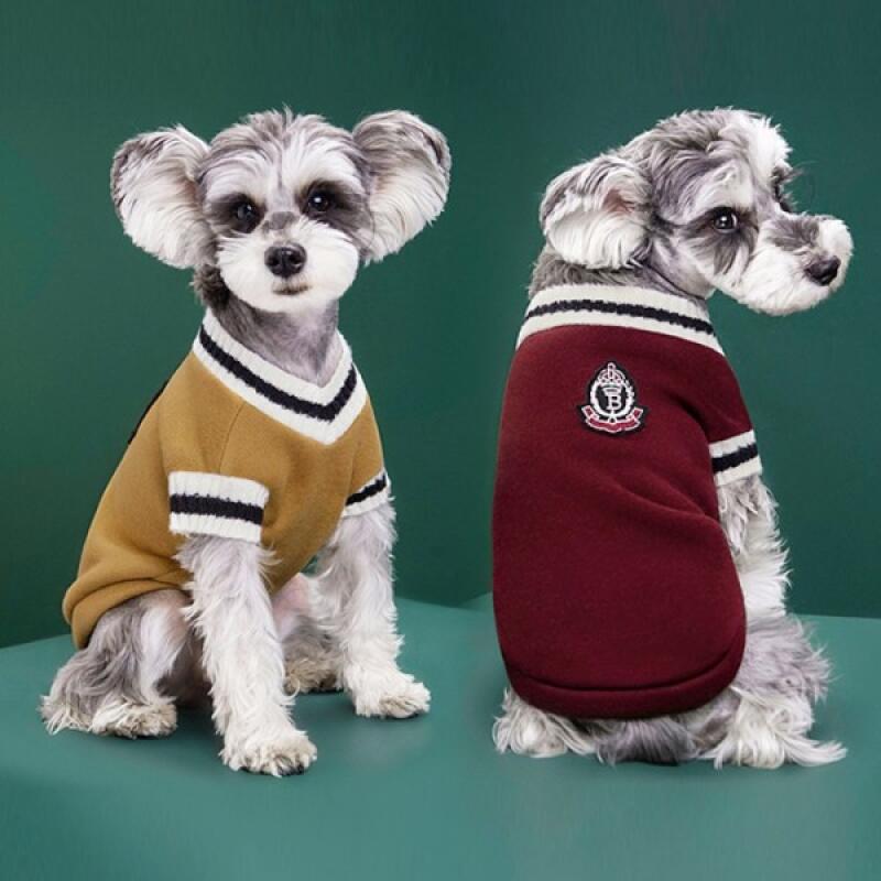 Magic School Puppy Man to Man Red