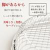 Styleneo Tsubame Sanjo Stainless Steel Flat Colander 22 cm Dishwasher Safe Oil Draining Rack for Fried Food Soba Steaming