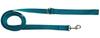 Dog Leash Traditional 2.5 Cm Turquoise Fasten Dog Leash Traditional 2.5 Cm Turquoise Fasten XXXXL - 10 M