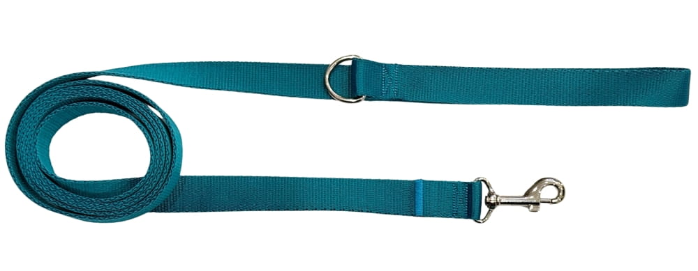 Dog Leash Traditional 2.5 Cm Turquoise Fasten Dog Leash Traditional 2.5 Cm Turquoise Fasten XXXXL - 10 M