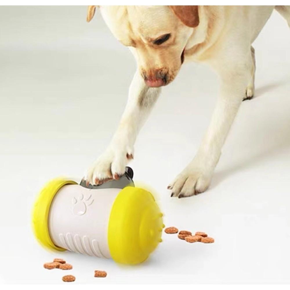 Brain Game Dog Interactive Treat Food Maze Feeder Treat Dispenser Puppy Swing Leak Feeder Fun Challenges Puzzle Cat Slow Feeder