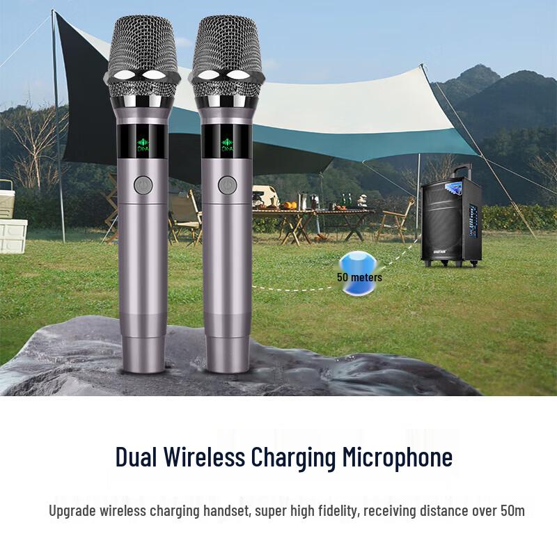 SAST SA-122 X High-Power Outdoor KTV Trolley Speaker CN Plug (adapter Included) (CN Version)