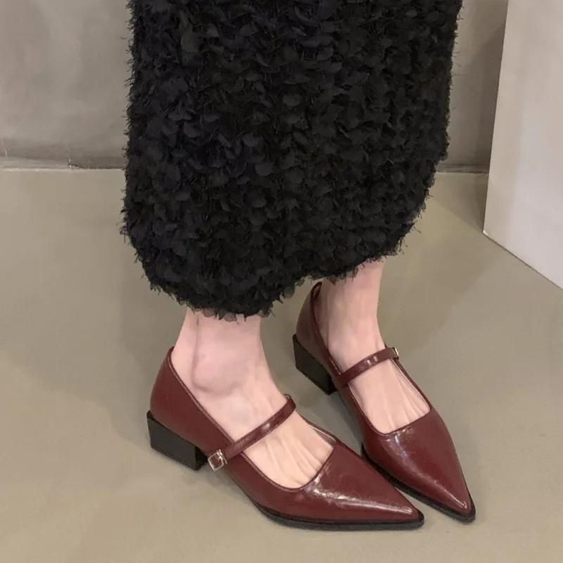 Spring New Coarse Heel Shoes Women's Fashion Pointed Shallow Mouth with Waterproof Non-slip Low-top Shoes