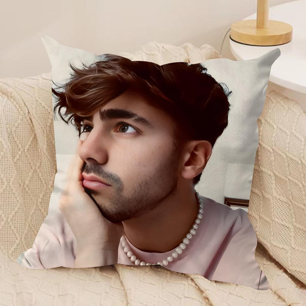 Internet Celebrity Fede VVigevani Cushion Cover Silky Short Plush Invisible Zipper Dustproof Sofa Pillow Case for Home Decor