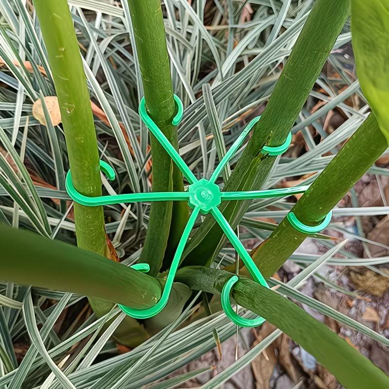 4Pcs Plant Stem Support Clips Flower Stem Gathering Frame Support Fixer Anti-Toppling Hydroponic Branch Fixing Pot Rack Garden Supplies