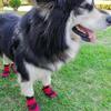 Leg Cover Autumn and Winter For Small Large Dogs Dog Shoes Pet Rainshoes Pet Supplies Dog Booties