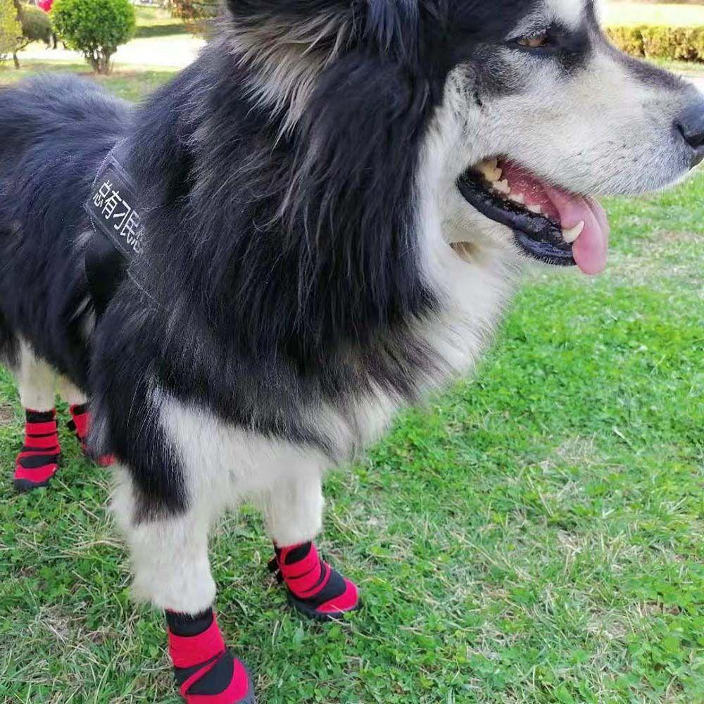 Leg Cover Autumn and Winter For Small Large Dogs Dog Shoes Pet Rainshoes Pet Supplies Dog Booties