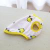 Small Dog Crown Velvet Clothes Pet Warm Clothing Cute Winter Cat Pullover Teddy Pretty Sweatshirt Pet Supplies