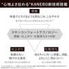 Kanebo Comfort Skin Wear Foundation