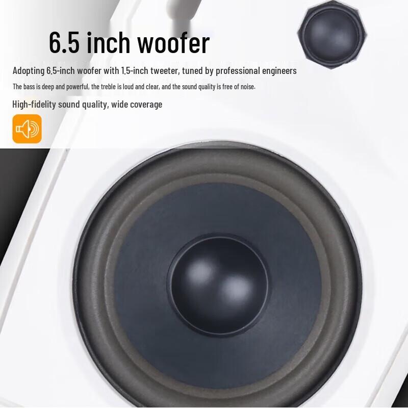 SHILE Conference Audio System with Amplifier & Wall-Mounted Speakers (CN version)