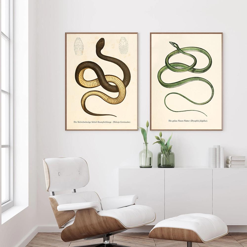 Imprimări de șarpe Pictură de artă cu reptile de epocă Galerie de imagini Imprimare de artă de perete Afiș abstract modern Home Art Decor de perete