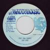 7inch Record JAH SON  Fat Ina Panty NONE Waterhouse Jamaica Reggae Ska  Dub Used