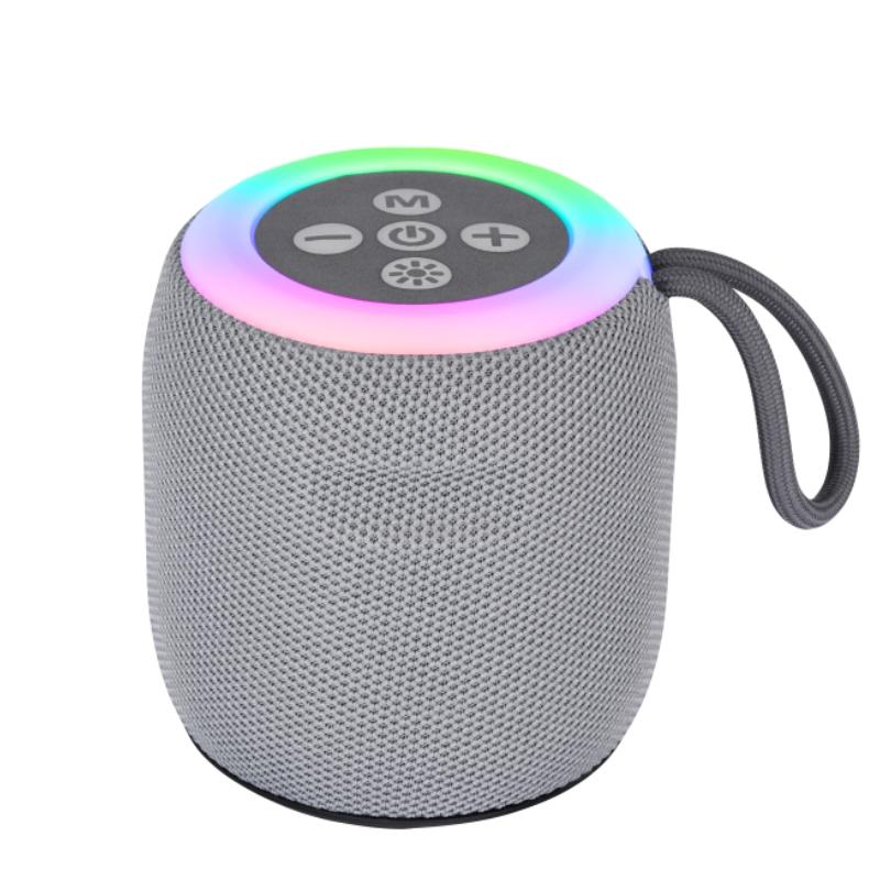Altoparlanti Bluetooth Portatili, Altoparlante Bluetooth Wireless, Bassi Profondi, Altoparlanti da Esterno con Maniglia, Supporta Scheda TF per Esterno