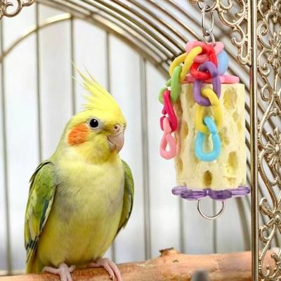 Interaktives Papageien-Kauspielzeug Hängendes Vogelfutterspielzeug Hamster-Schleifstein Indoor