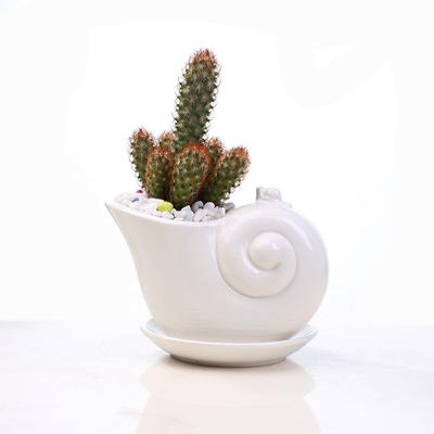 Deko & Wohnaccessoires – Dekorative Blumentöpfe