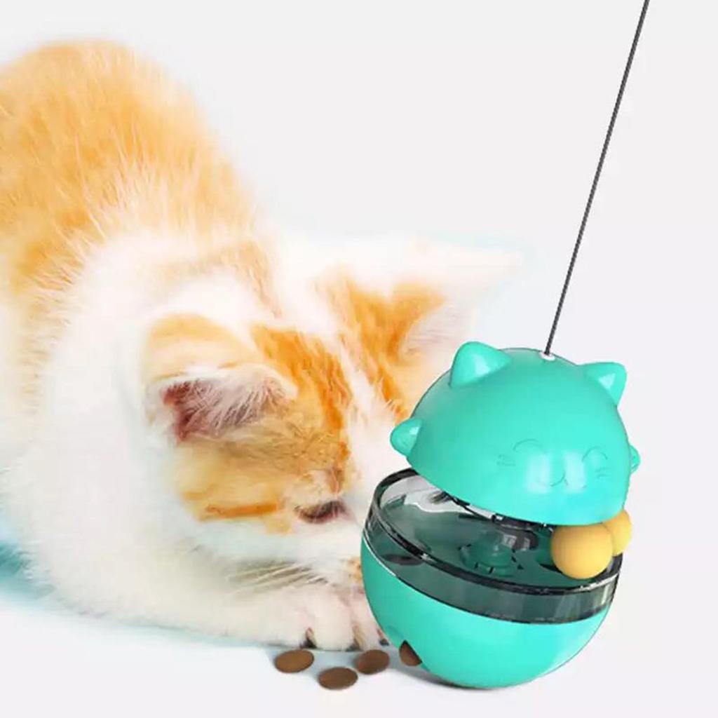 cat snack toy