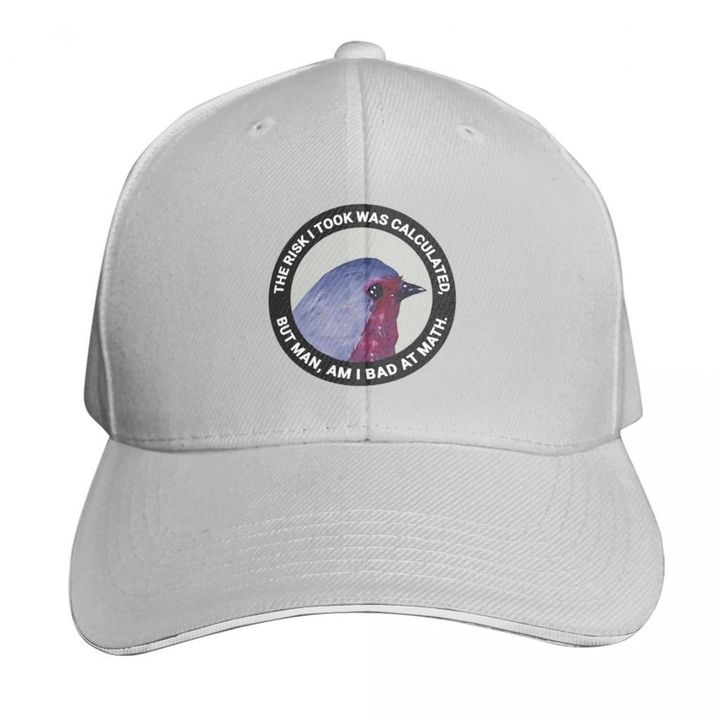 The Risk I Took Was Calculated But Unisex Am I Bad At Math Baseball Cap Fishing Caps Unisex Golf Womens Hats Unisexs