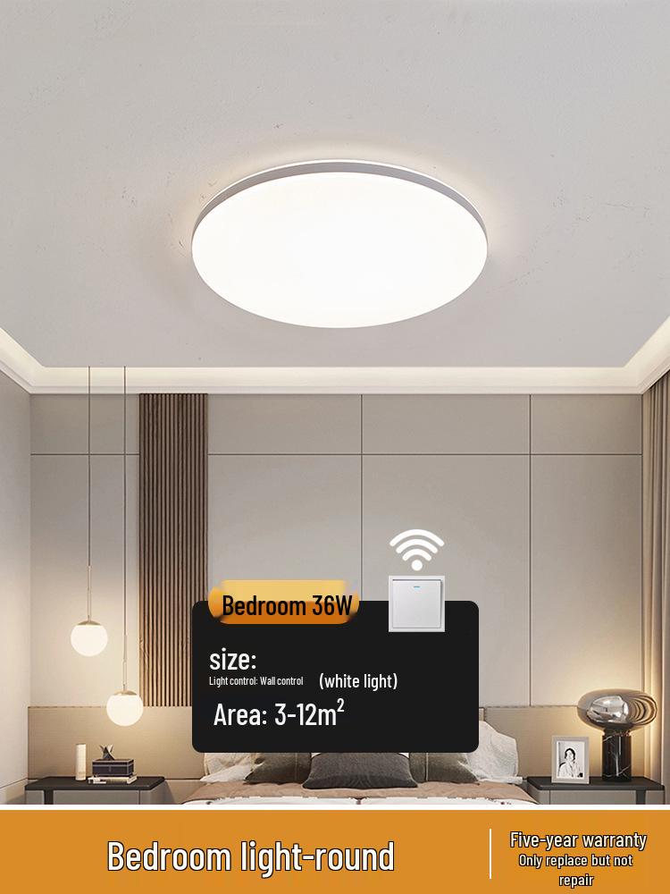 2025 Modern Ceiling Light for Living Room, Bedroom, or Balcony