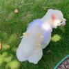 Elegant Pet Vest Shirt Hollow Dog Clothes Comfortable Cat Dress  Autumn