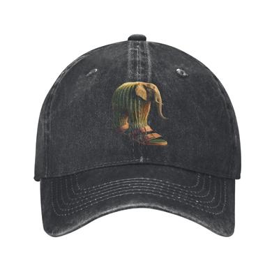 Vintage Lirili Larila Funny Italian Brainrot Meme Baseball Caps Unisex Distressed Denim Snapback Hat Adjustable Caps Hat