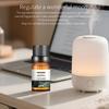 Natural Plant Essential Oil for Diffuser Humidifier 10ml Water Soluble Aroma Oil DIY Candle Soap Accessories
