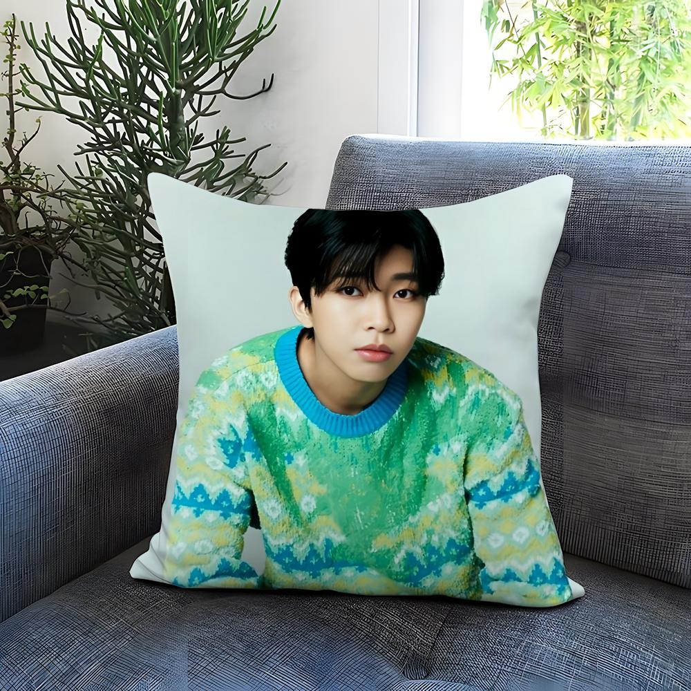 

Fashion L-LLim Young Woong Cushion Cover Comfortable Reversible Pillow Cover Ideal for Car Sofa Bedroom & Beyond 30cmx30cm