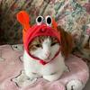 Cute Pet Hat Small Dog Cat Hat Easter Bunny Hat Crab Lobster Frog Cap Pet Party Costume Accessories Headwear for Cat Kitten Pug