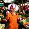 Soft Onion Headpiece Costume Hat Funny Fun Party Headwear Cartoon Plush Hat  for Men Women Kids