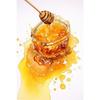 Fresh Bees Collecting Honey And Canned Honey Poster Print Wall Art Pictures Canvas Painting Living Room Bedroom Home Decor Gift