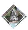Italian Spinone, Spinone Italiano, Bracco Spinoso – Crystal Cube with a Photo, Photo of a Horse In Crystal |