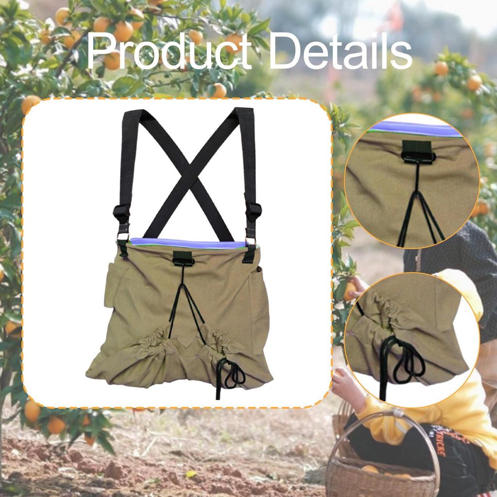 Canvas Bag for Fruit Collection, Foraging Holder Garden Use