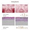 Chando Type III Recombinant Collagen Repair Freeze-Dried Mask