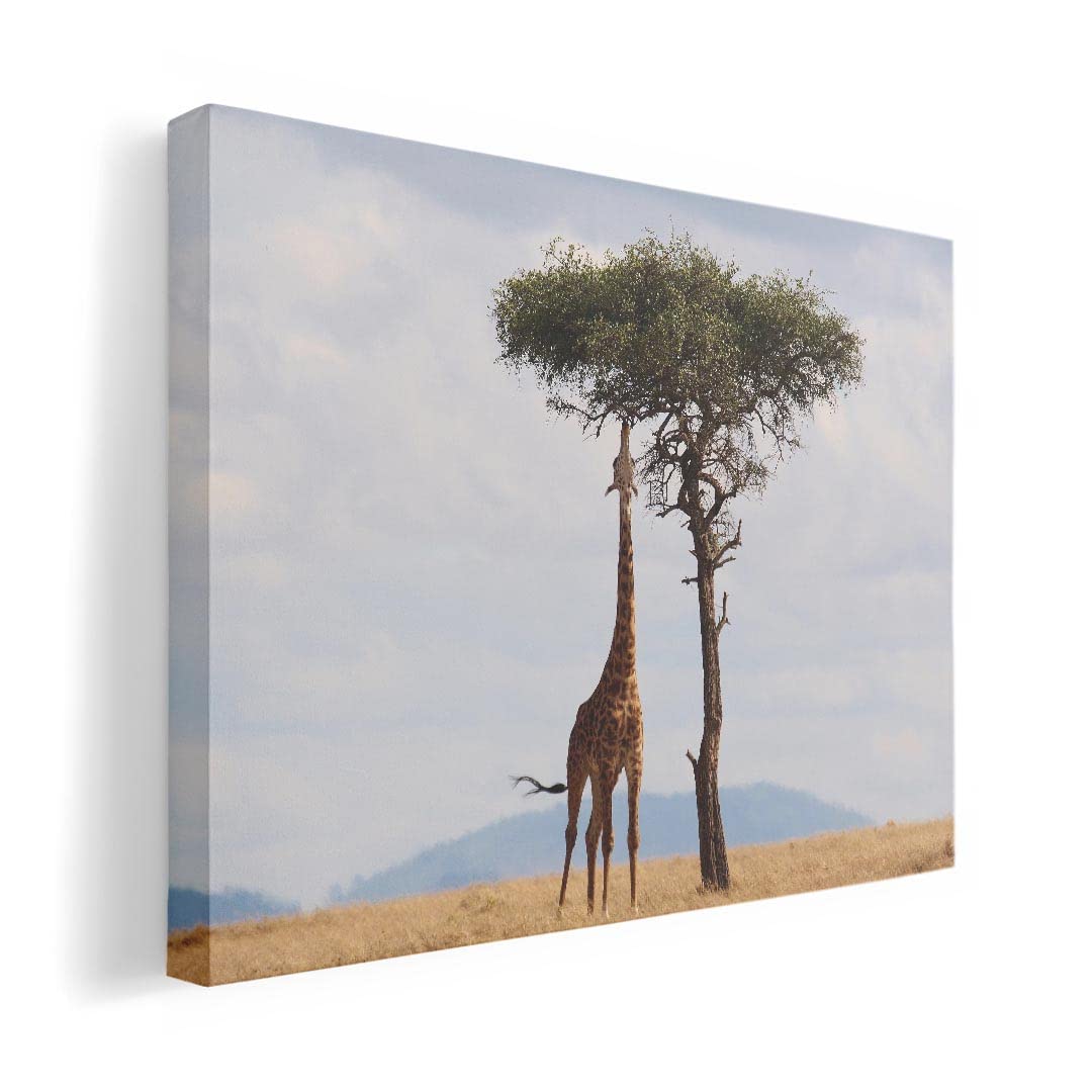 

Art 420mm x Wall Wooden Stylish Interior Nature Panel, Painting, Decoration, igsticker, 297mm, A3, Photo, Hanging, Frame, Decor, 025624, Animal,