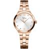 Watch Pierre Ricaud P22065.9183Q