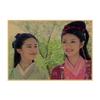 Chinese Paladin Retro Poster: Liu Yifei, Hu Ge, Yang Mi Wall Art