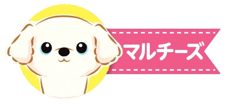 Iwaya Twinkle Eyes Maltese ST Mark 18 Months and Plush Toy Puppy, Certified, Up, Battery-Operated