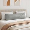 Sofa Cushions 2 Pieces Light Grey 145 X 40 Cm Fabric