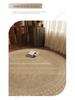 Round Flannel Modern Rug for Living Room, Study, or Bedroom - Perfect for Sofa, Coffee Table, Chair Pad, or Bedside Mat